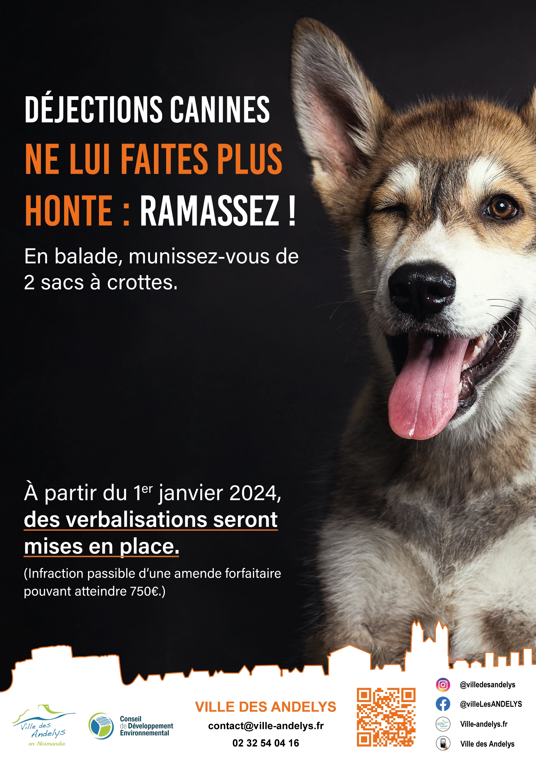 Affiche de la mairie des Andelys annoncant la mise en place d'un arrêté contre les déjections canines en 2023
