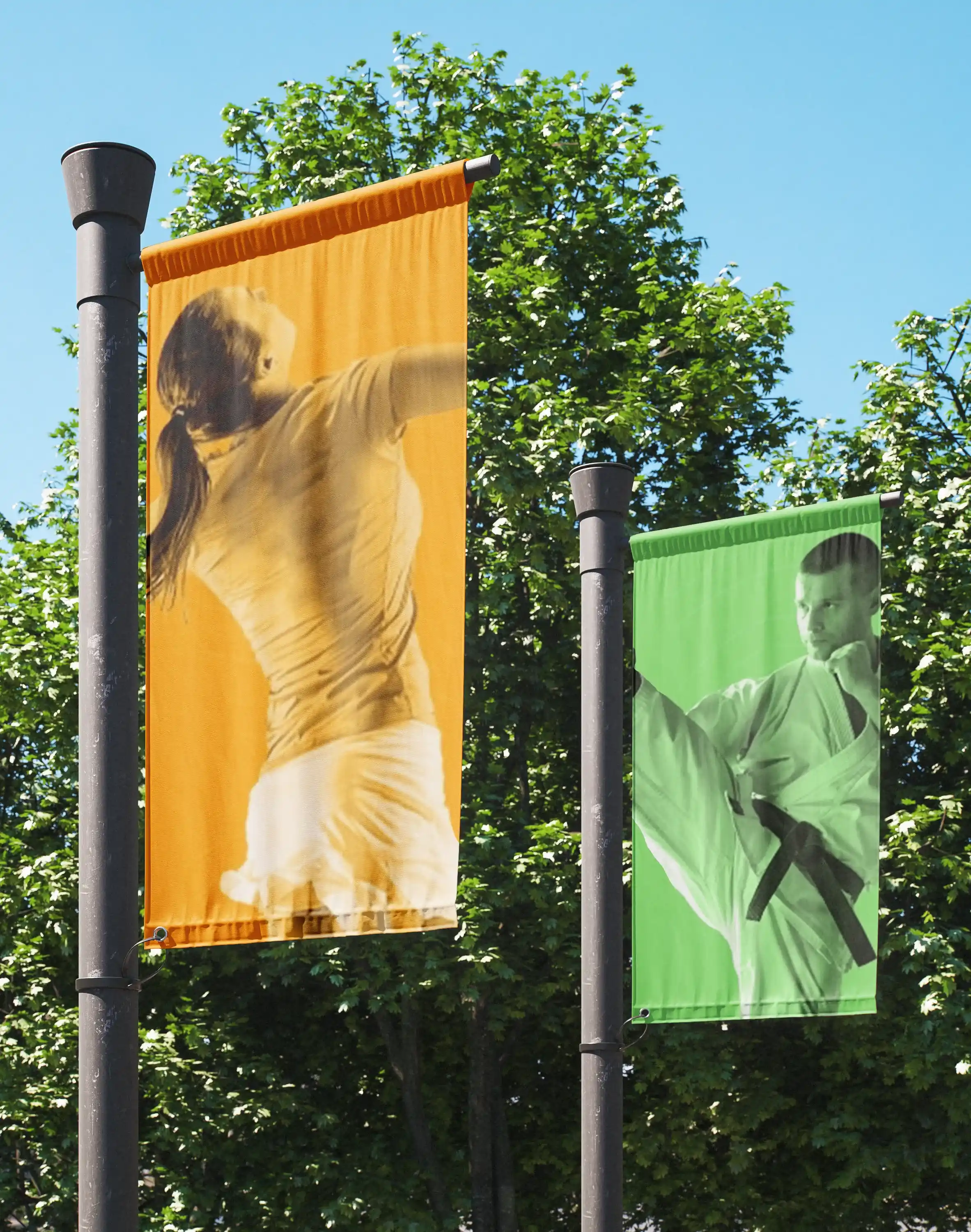 Photo de deux drapeaux sur des poteaux devant un arbre sous un beau ciel bleu. Le premier drapeau est jaune avec une photo d'une joueuse de tennis faisant un service. Le second drapeau est vert avec une photo d'un judoka.